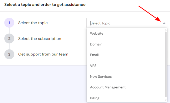 Hostinger domain: support system