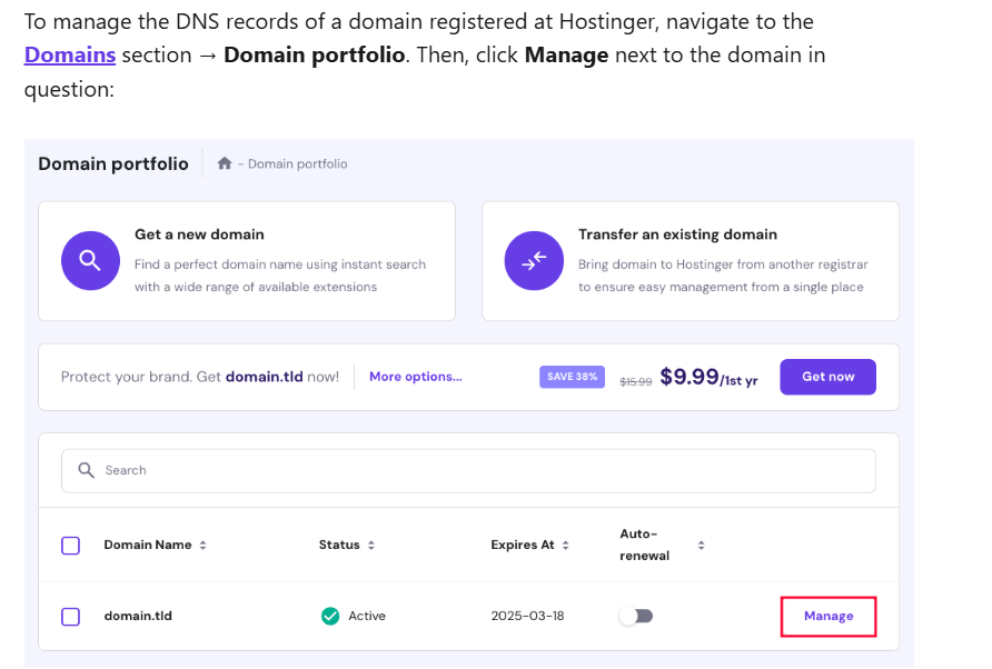 Hostinger domain: DNS MANAGEMENT